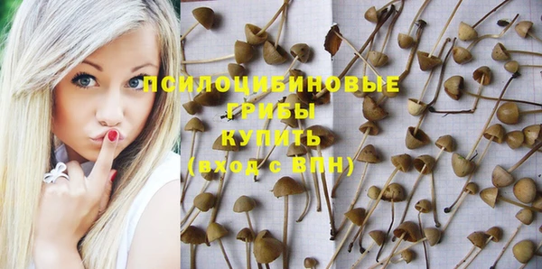 прущий лед Армянск