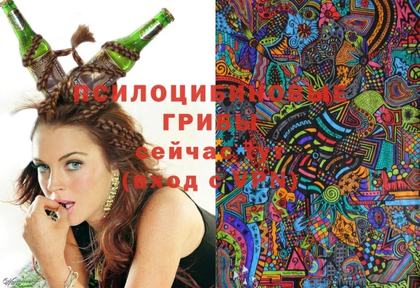 прущий лед Армянск