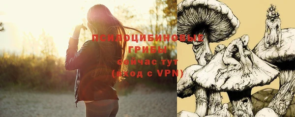 прущий лед Армянск