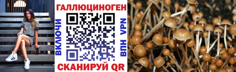 закладка  Шатура  Псилоцибиновые грибы мицелий 
